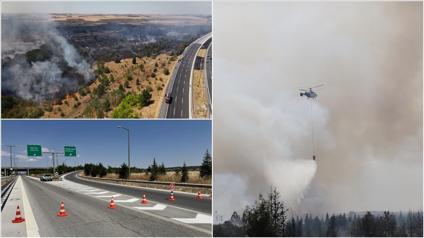 Kırklareli'nde ağaçlık alanda çıkan yangın söndürüldü