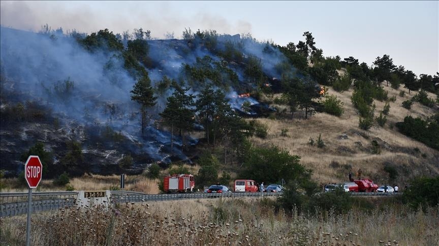U Sjevernoj Makedoniji u posljednja 24 sata izbila 23 šumska požara