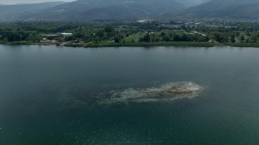 Su miktarı "kritik" seviyenin altına düşen Sapanca Gölü'ndeki kalıntılar ortaya çıktı