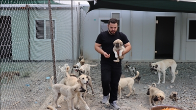 Erzincan'da atık gıdalar yeni kurulan tesiste hayvanlar için mamaya dönüştürülüyor