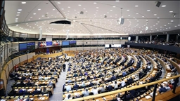 EU Parliament groups urge top officials to take action to end Gaza genocide