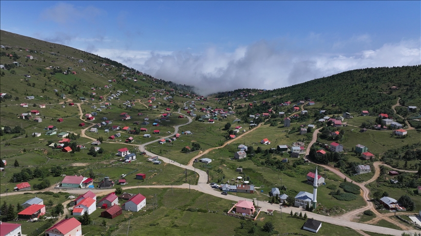 Turqi, rrafshnalta e malit Sis në Trabzon një nga vendet e preferuara midis adhuruesve të natyrës