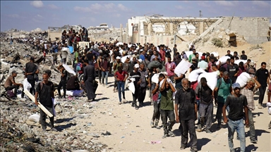 Gaza food distribution 'orchestrated killing': Doctors Without Borders