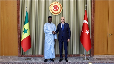 TBMM Başkanı Kurtulmuş, Senegal Başbakanı Ousmane Sonko ile görüştü