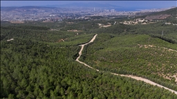 İzmir'de 16 yıl önce yanan alan çalışmalarla yeniden ormanlaştırıldı