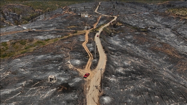 Al menos un muerto en un gran incendio forestal a unos 29 kilómetros al sureste del centro de Atenas
