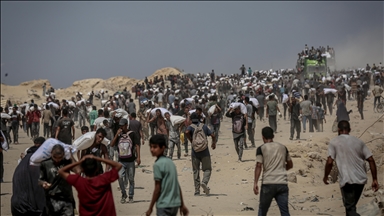 'It is the duty of the international community to act' on Israel's Gaza occupation plans, says Palestine's UN envoy