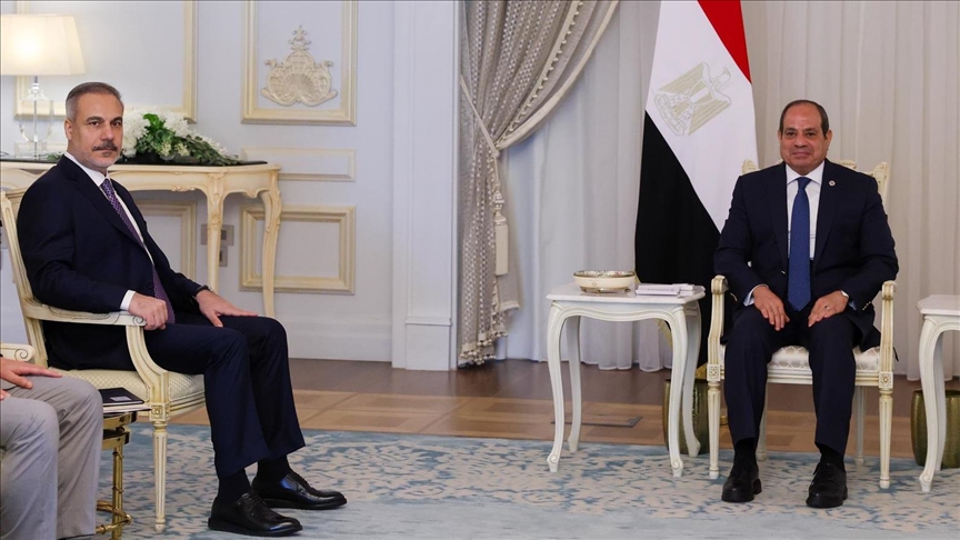 الرئيس المصري يستقبل وزير الخارجية التركي
