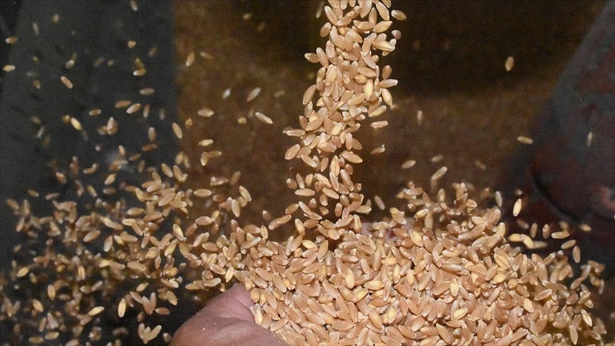Familja që vazhdon traditën e mullixhiut për pesë breza