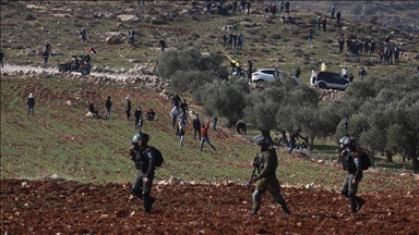 الضفة.. مستوطنون يهاجمون فلسطينيين ويقطعون أشجار زيتون