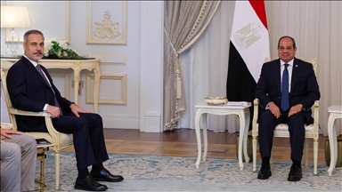 Turkish foreign minister meets Egyptian president in Cairo