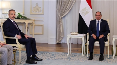 Le ministre turc des Affaires étrangères rencontre le président égyptien au Caire