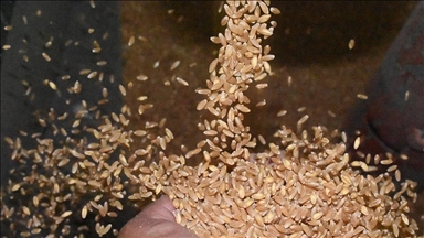 Familja që vazhdon traditën e mullixhiut për pesë breza