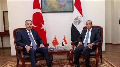 وزيرا خارجية مصر وتركيا يبحثان تعزيز العلاقات والتطورات في غزة