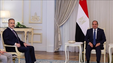 دیدار هاکان فیدان و عبدالفتاح السیسی در قاهره