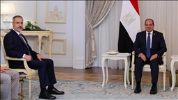 الرئيس المصري يستقبل وزير الخارجية التركي
