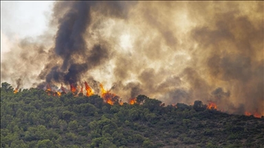 Vendet e rajonit vazhdojnë të përballen me zjarre për shkak të temperaturave të larta