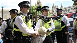 Over 530 protesters arrested at London protest in support of Palestine Action, say police