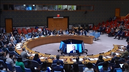 Four UN Security Council permanent members oppose Israel's Gaza occupation plan