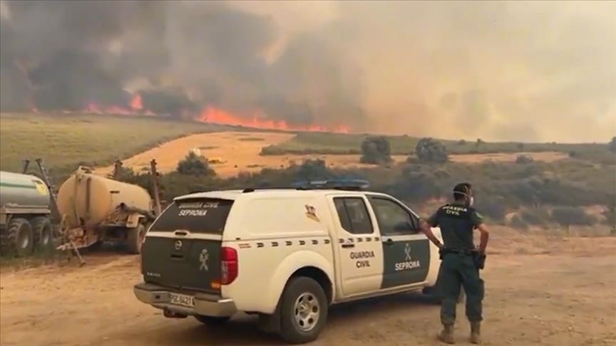 Over 39,000 hectares burned in Spain as wildfires force thousands to flee