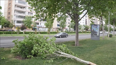 Meteorolojiden 4 il için kuvvetli rüzgar ve fırtına uyarısı