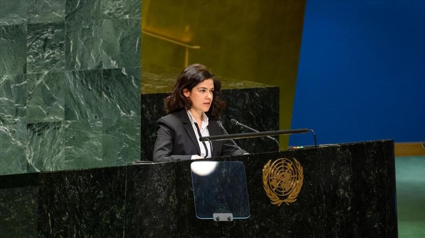 Türkiye's UN envoy says permanent Gaza ceasefire 'essential' to secure Red Sea navigation