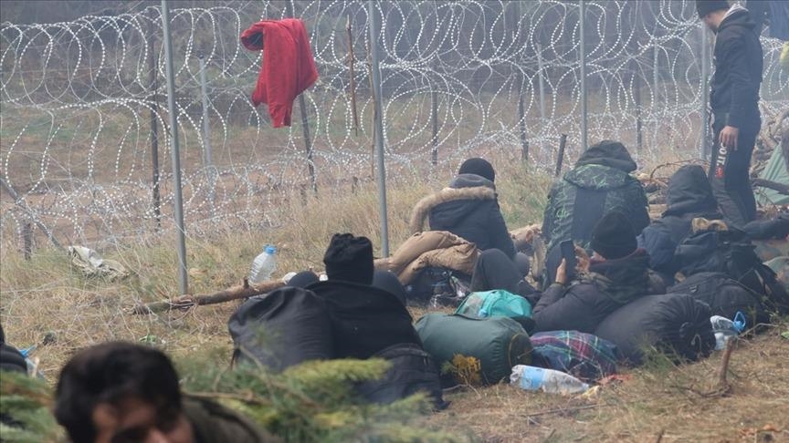 В Польше зафиксировали более 550 попыток незаконного пересечения границы с Беларусью