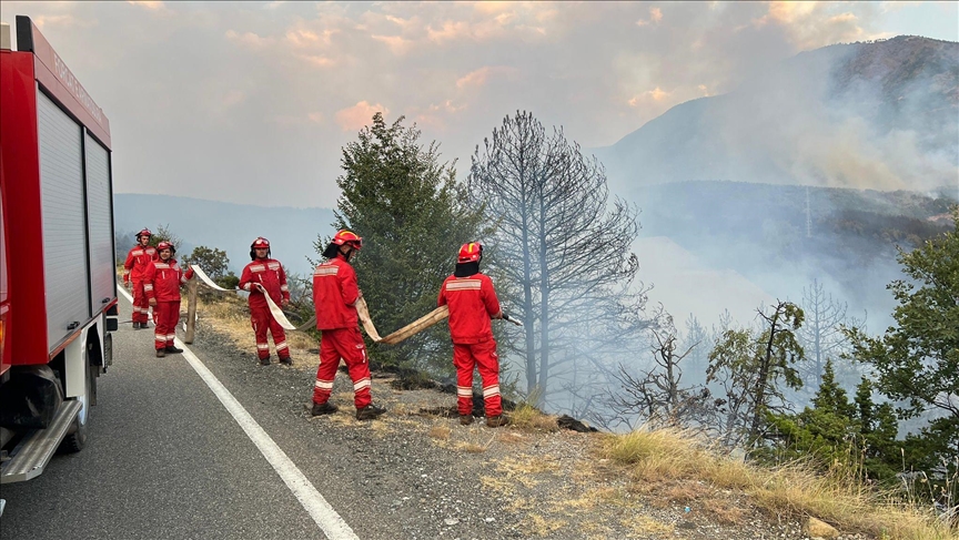 Еден загинат, 8 повредени во пожарите во Албанија, евакуирани неколку села