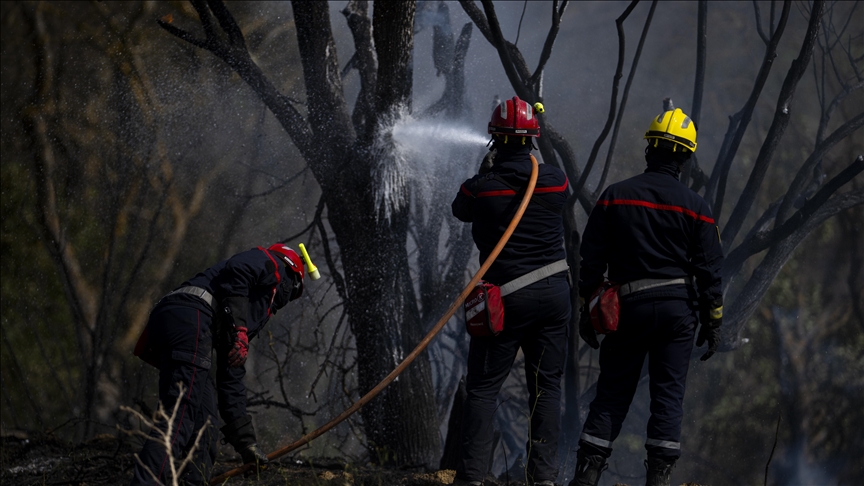 Fransa'nın Charente vilayetinde çıkan yangında 200 hektardan fazla ormanlık alan zarar gördü