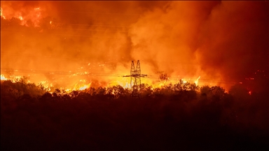 El sur de Europa continúa luchando contra olas de calor extremas e incendios forestales