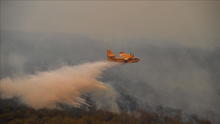 Firefighters struggle to contain forest fire in northern Morocco