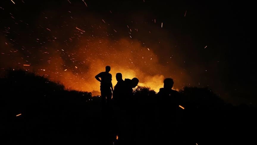 В Греции продолжают эвакуировать людей из-за лесных пожаров