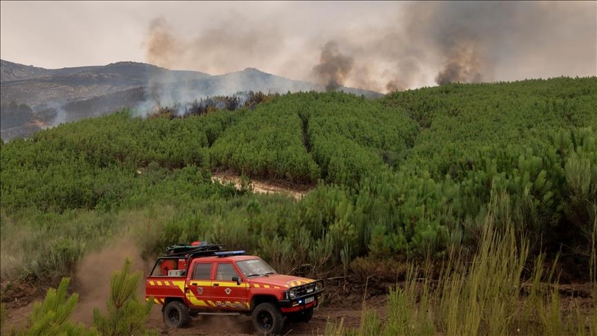 Southern Europe battles deadly wildfires, sweltering heat wave