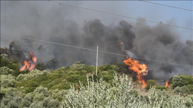 Fanned by strong winds, wildfires continue to sweep across Greece