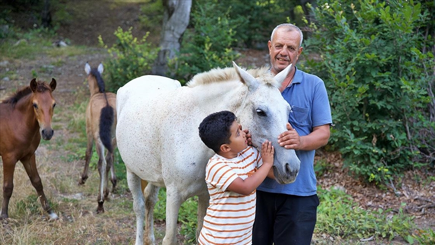 Osmaniyeli yetiştirici, yarışlara hazırladığı atları kas gelişimi için 6 ay yaylada bırakıyor