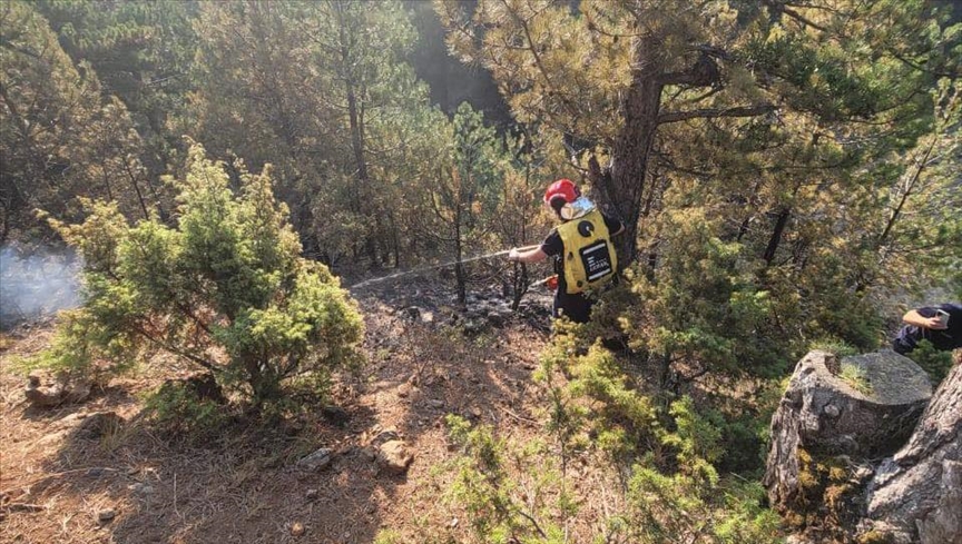 Shqipëri, vijojnë aktivitetet për vënien nën kontroll të zjarrit në rrethinën e Gramshit