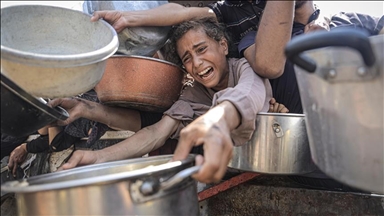 علماء اقتصاد أمريكيون وأوروبيون يدعون إسرائيل لوقف تفاقم الجوع بغزة