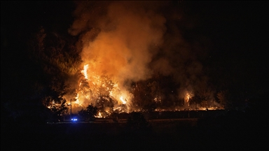 UK firefighters under strain as wildfires surge amid heat wave