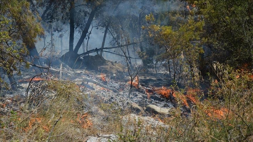 Голем број пожари регистрирани низ БиХ: Во гаснењето во Мостар учествуваше „Ер трактор“