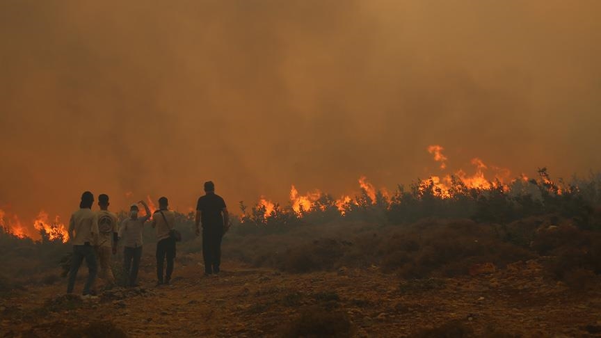 سوريا تواصل مكافحة حرائق الغابات في ريفي اللاذقية وحماة