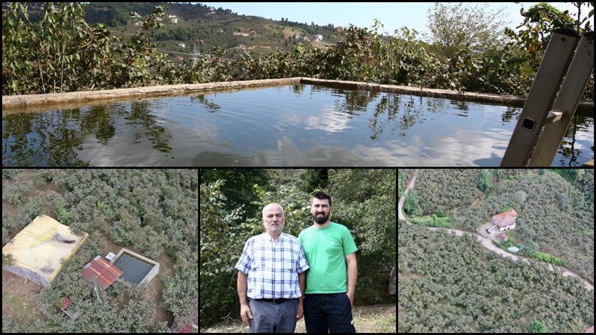 Giresun'da fındık bahçesine damla sulama sistemi kuran baba oğul verimi iki kat artırdı