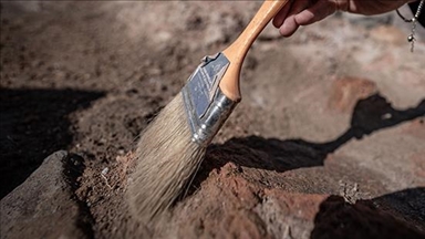 Study on 355-million-year-old claw marks found in Australia may challenge 90-year-old evolution theory