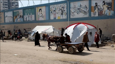 Gaza alami peningkatan tajam penyakit kulit di tengah gelombang panas yang parah