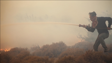 Syrian firefighters struggle to extinguish wildfires in Latakia, Hama