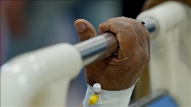 Inggris laporkan peningkatan 170% kasus Chikungunya