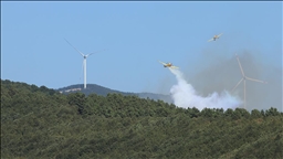 Bazı illerde çıkan orman yangınlarına müdahale sürüyor