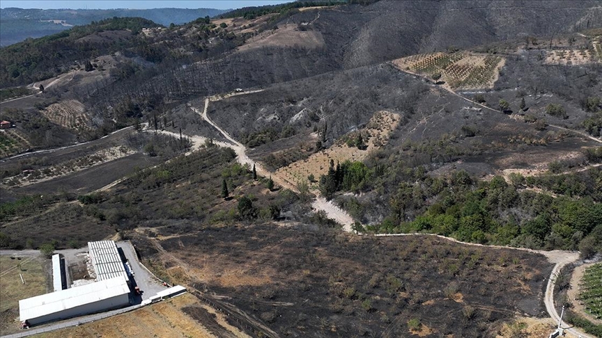 Kocaeli'de yangından zarar gören alanlar havadan görüntülendi
