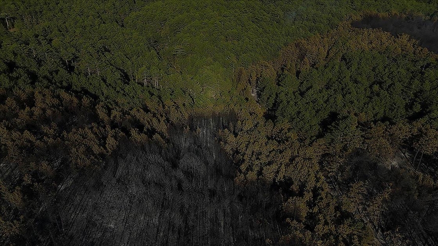 Orman yangınlarından etkilenen alanlarda avlanmak yasaklandı