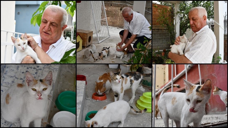 Kalbini açtığı 8 kediye evinin bahçesine koyduğu kulübelerde bakıyor