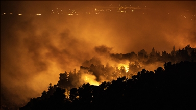 Efforts underway to contain large forest fire in southern Lebanon